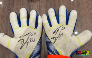 大马丁宣布拍卖世界杯上使用的手套捐给医院