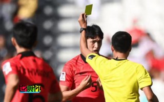 5名球员被 马宁 出示黄牌，韩国足协 被罚款3000美元