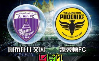 2018世俱杯前瞻 东道主阿布扎比艾因迎战惠灵顿FC