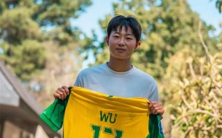 中国国脚加盟法甲联赛南特俱乐部